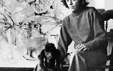 琼·米切尔 | 我的绘画仅和感觉相关