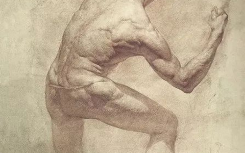 (俄)列宾美术学院素描集8