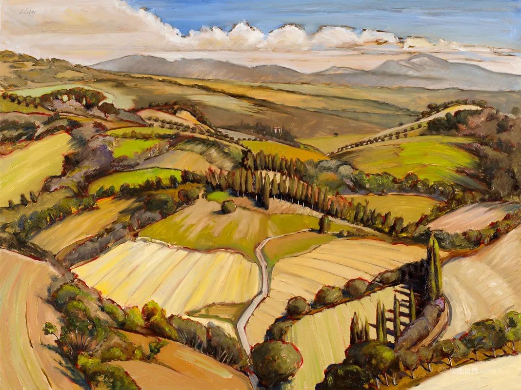 乡村风景的鸟瞰图,巴西画家德拉迪尔·阿尔梅达作品!